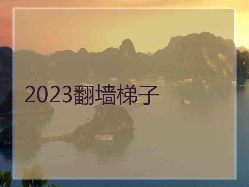 2023翻墙梯子