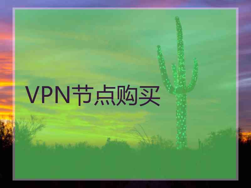 VPN节点购买