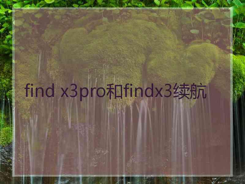 find x3pro和findx3续航