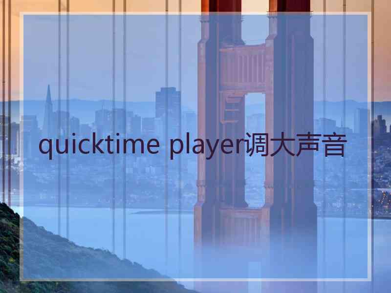 quicktime player调大声音