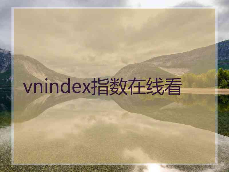 vnindex指数在线看