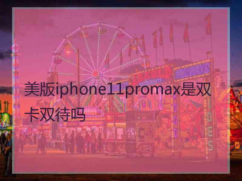 美版iphone11promax是双卡双待吗