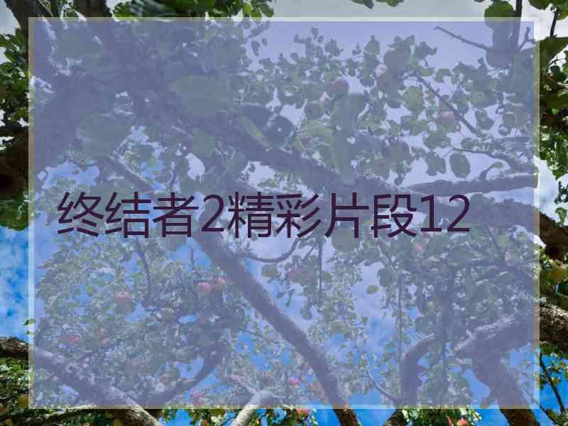 终结者2精彩片段12