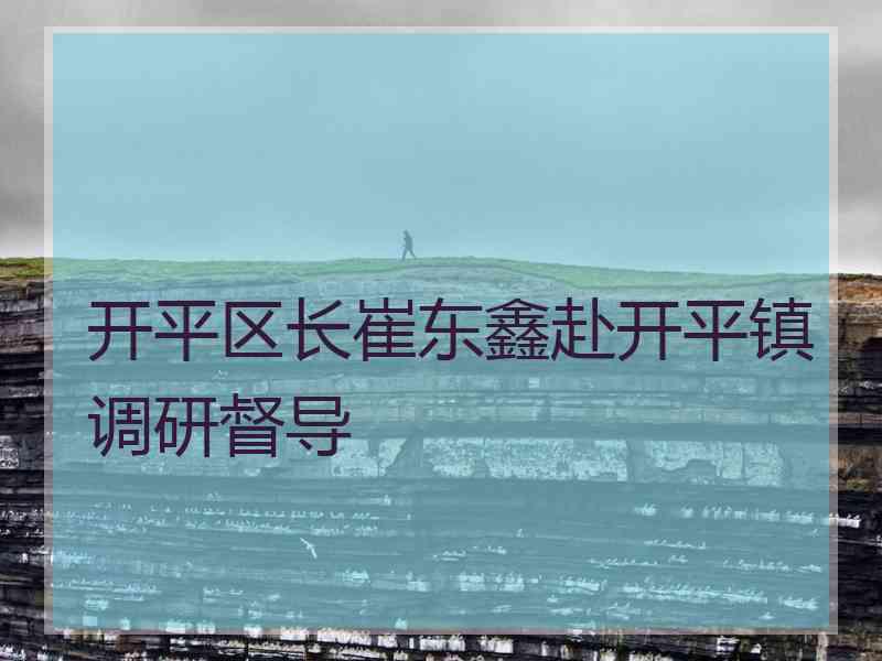 开平区长崔东鑫赴开平镇调研督导