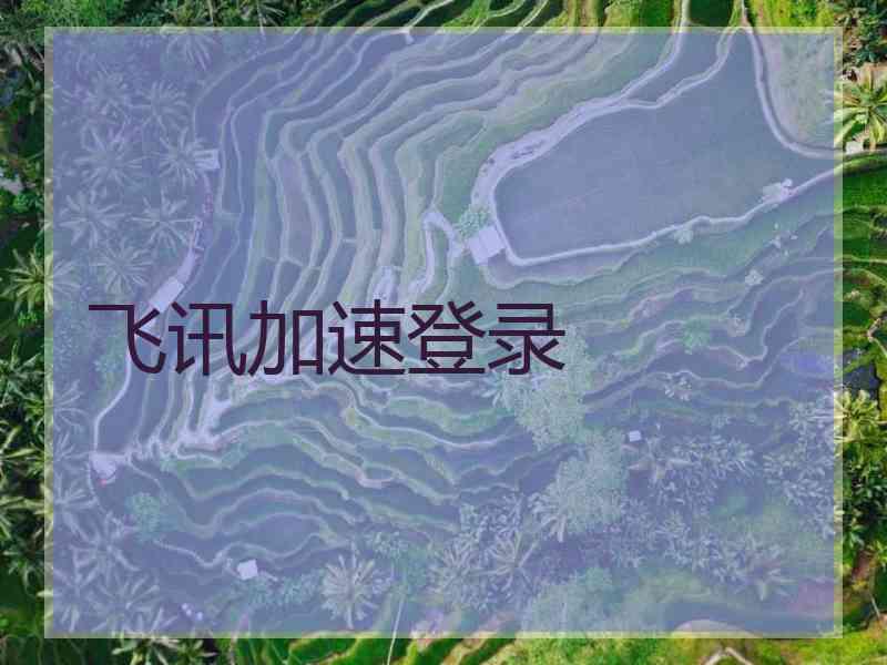 飞讯加速登录