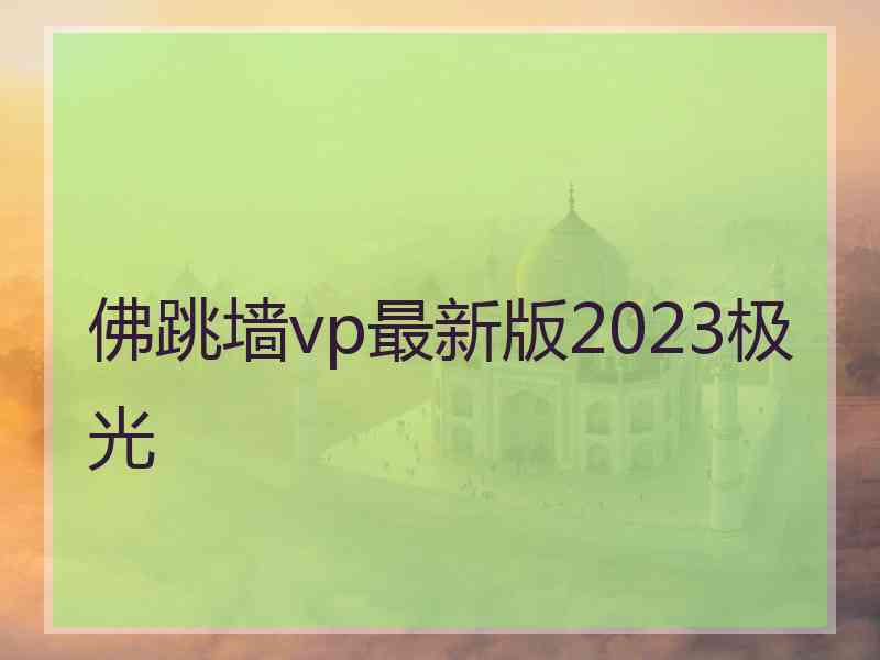 佛跳墙vp最新版2023极光