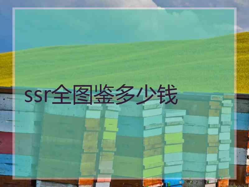 ssr全图鉴多少钱