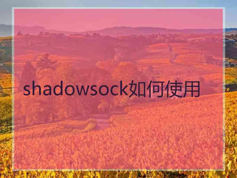 shadowsock如何使用