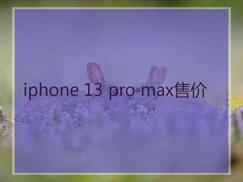 iphone 13 pro max售价