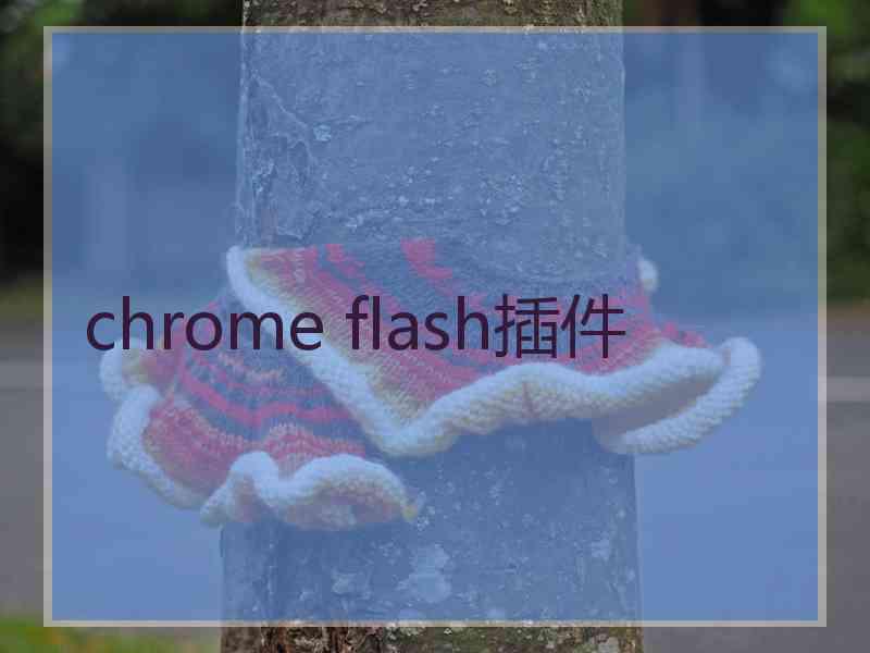 chrome flash插件