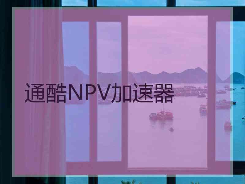 通酷NPV加速器