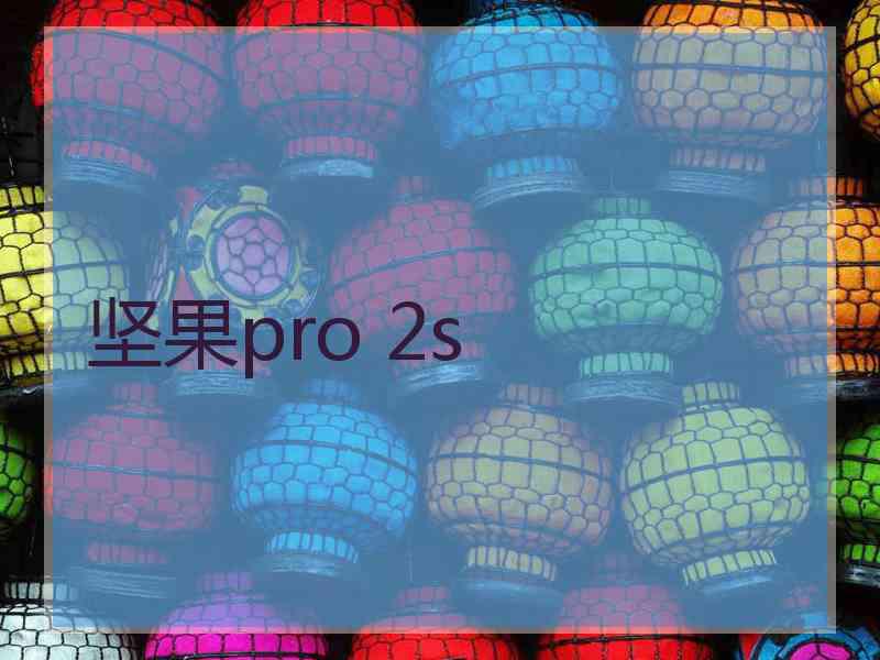 坚果pro 2s