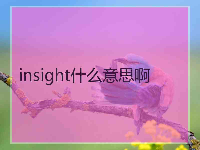 insight什么意思啊