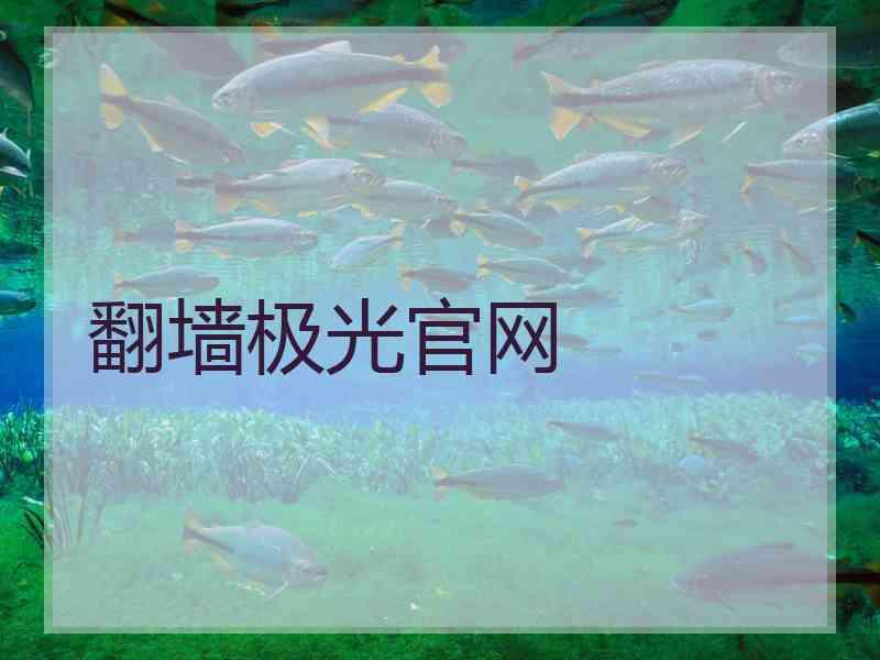 翻墙极光官网