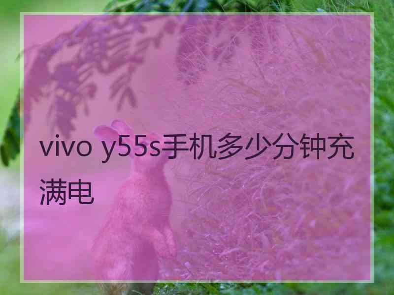 vivo y55s手机多少分钟充满电