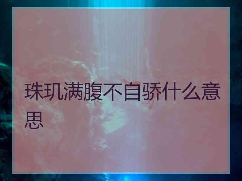 珠玑满腹不自骄什么意思