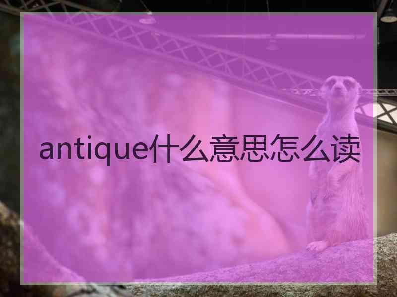 antique什么意思怎么读