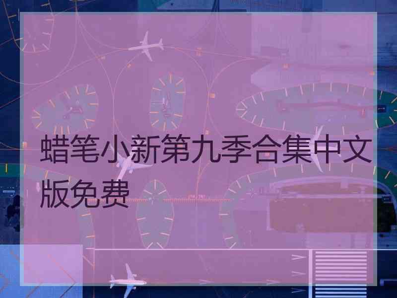 蜡笔小新第九季合集中文版免费