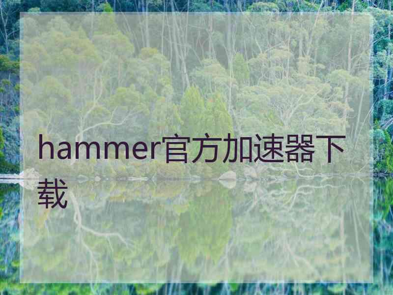 hammer官方加速器下载