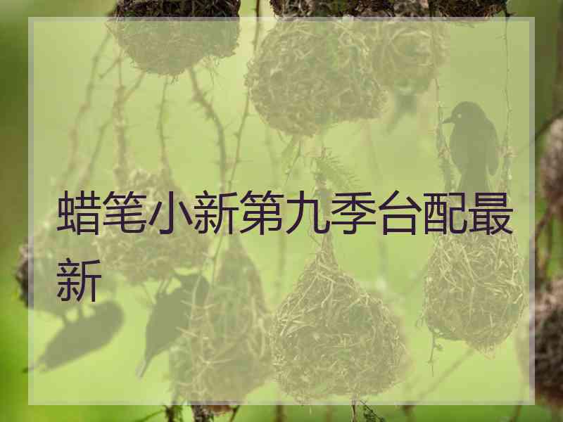 蜡笔小新第九季台配最新