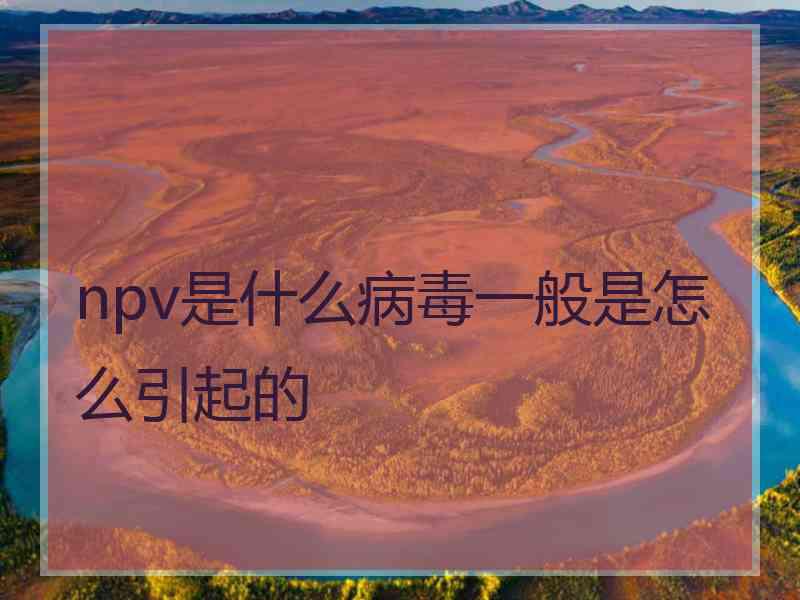 npv是什么病毒一般是怎么引起的