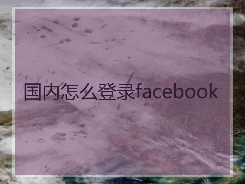 国内怎么登录facebook