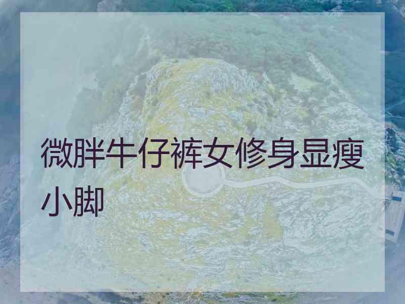 微胖牛仔裤女修身显瘦小脚