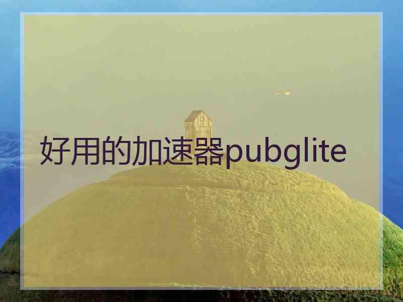 好用的加速器pubglite