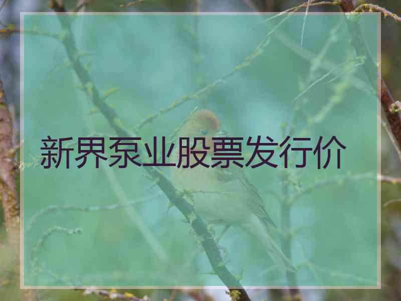 新界泵业股票发行价