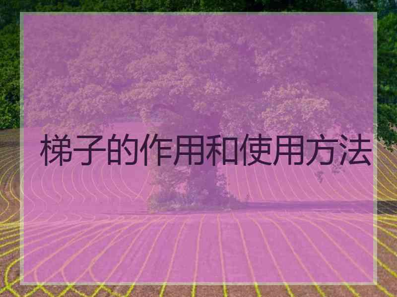 梯子的作用和使用方法