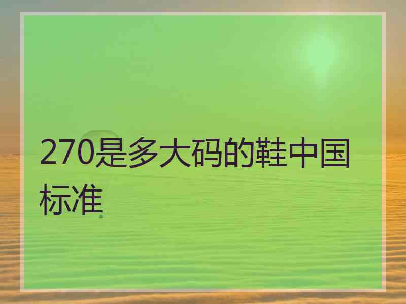 270是多大码的鞋中国标准