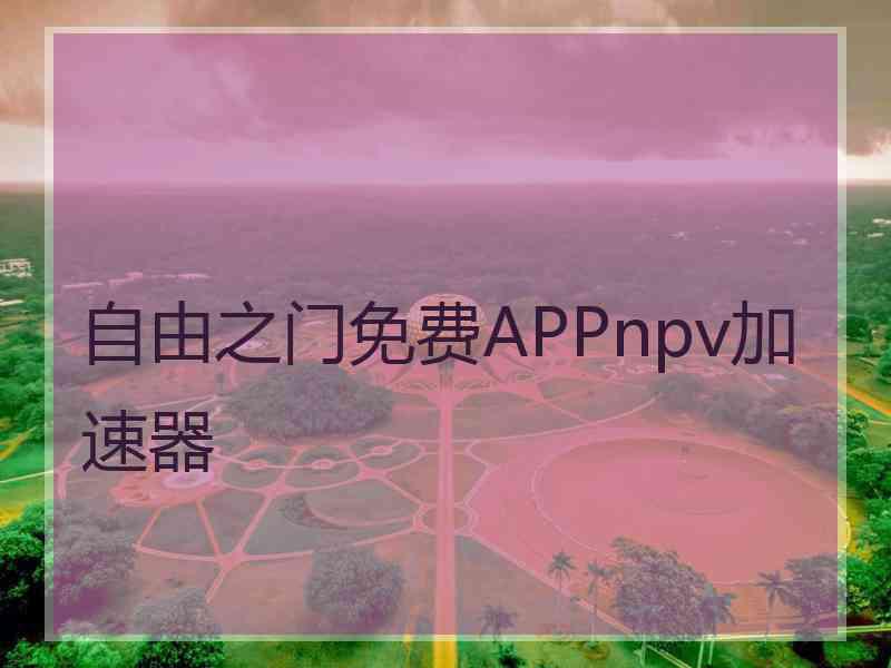 自由之门免费APPnpv加速器