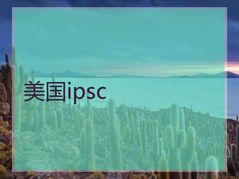 美国ipsc