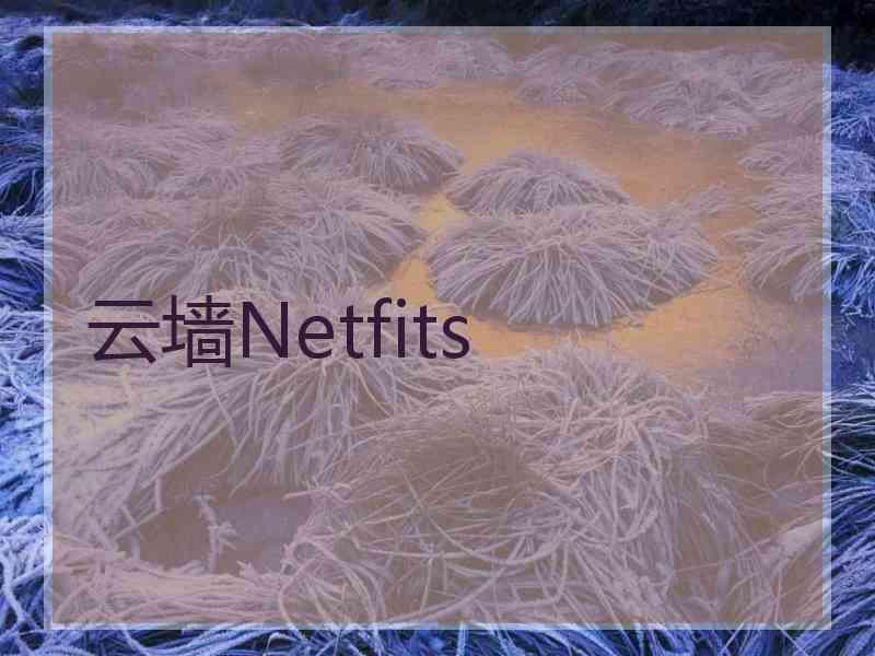 云墙Netfits