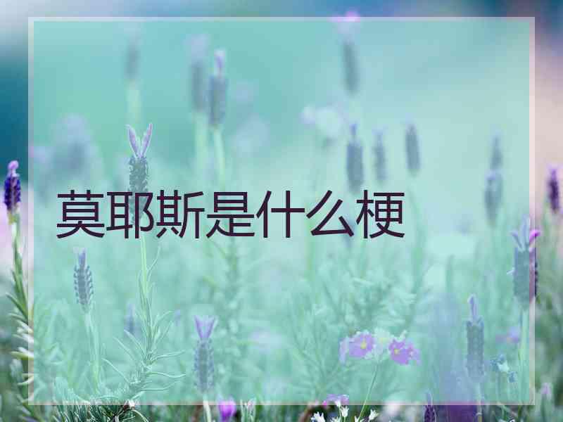 莫耶斯是什么梗