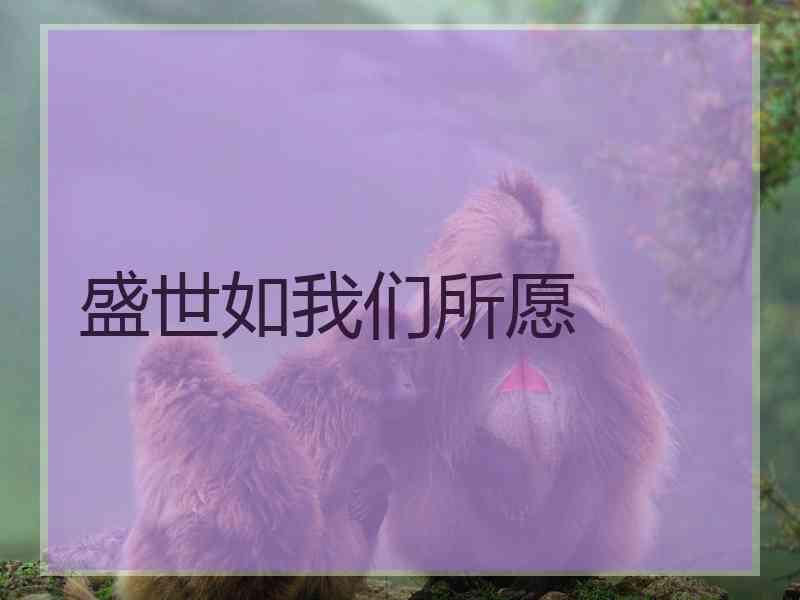 盛世如我们所愿