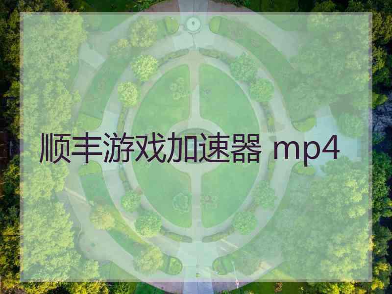 顺丰游戏加速器 mp4