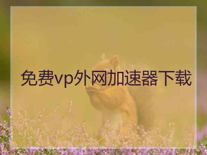 免费vp外网加速器下载