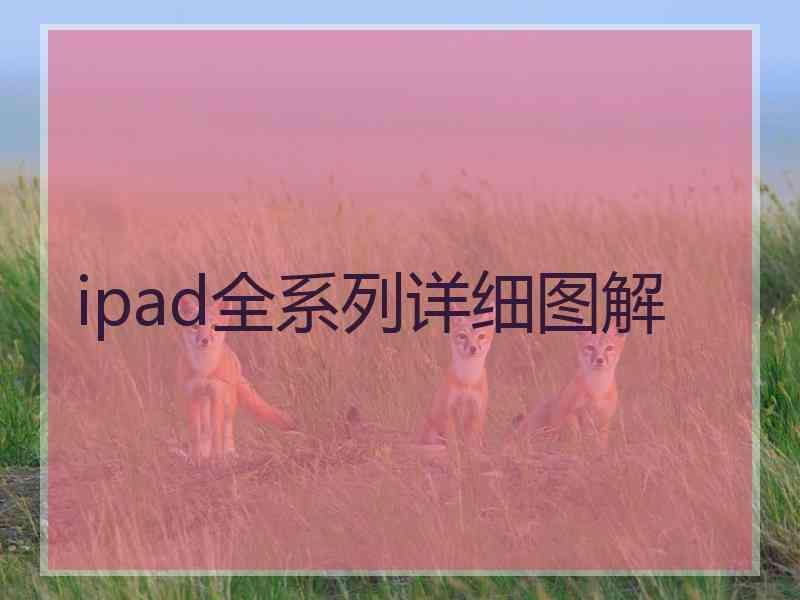 ipad全系列详细图解