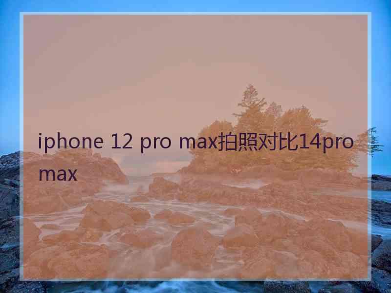 iphone 12 pro max拍照对比14promax