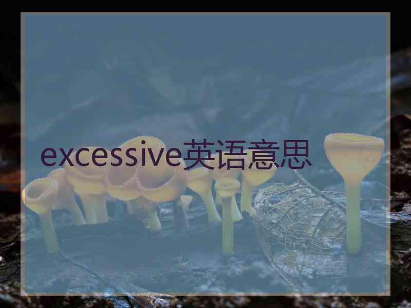 excessive英语意思