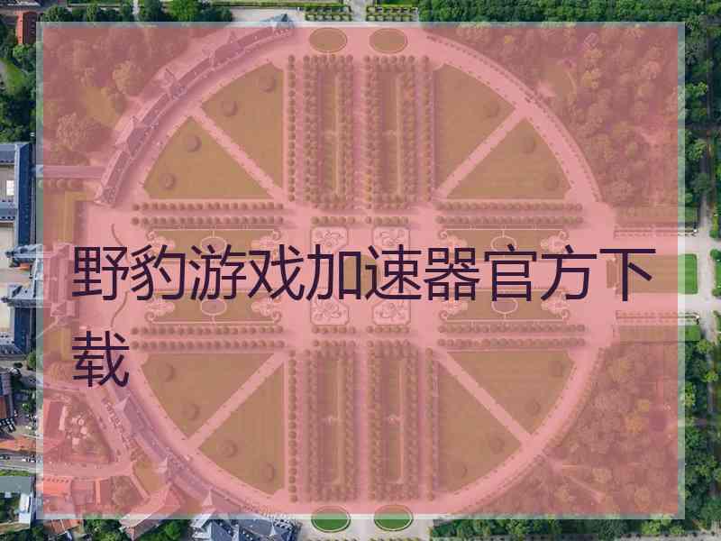 野豹游戏加速器官方下载