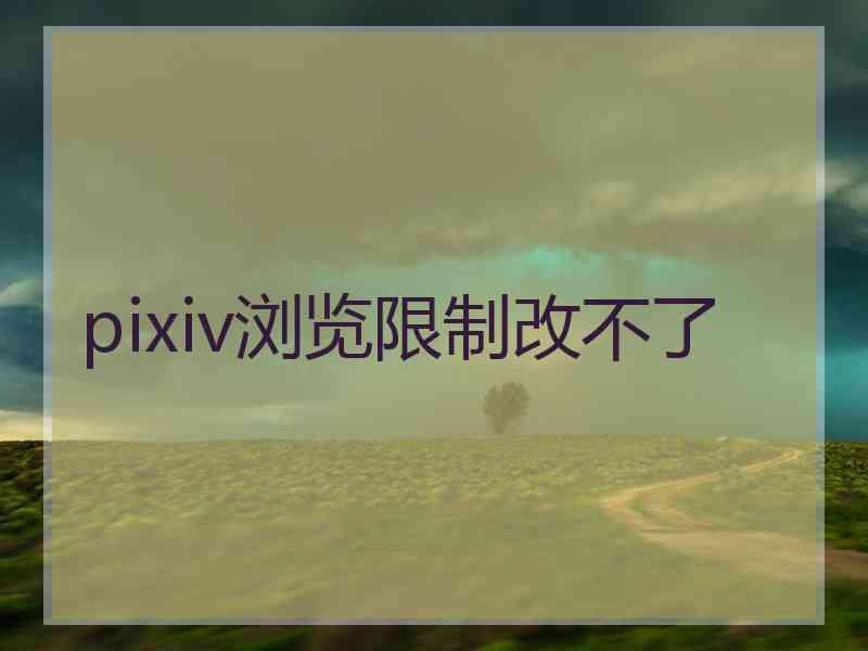 pixiv浏览限制改不了