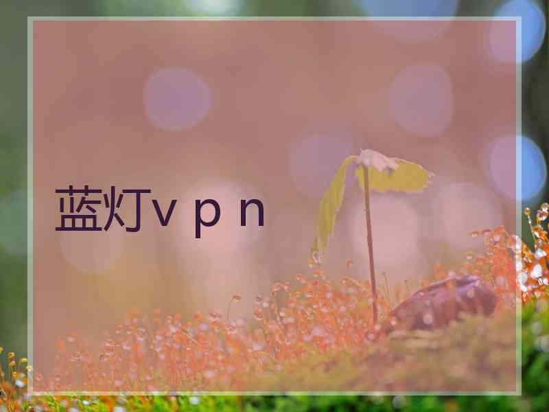 蓝灯v p n