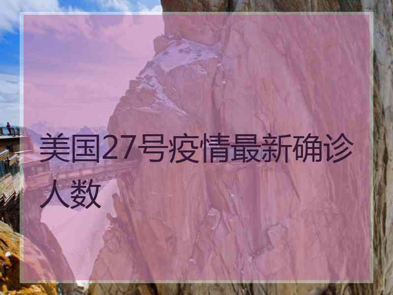 美国27号疫情最新确诊人数