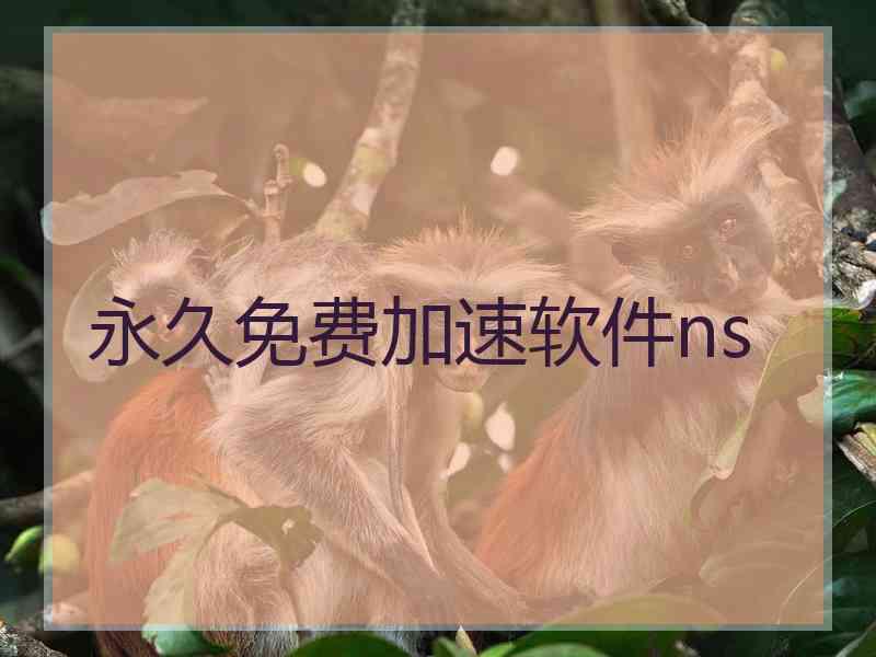 永久免费加速软件ns