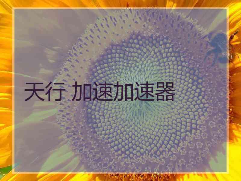 天行 加速加速器