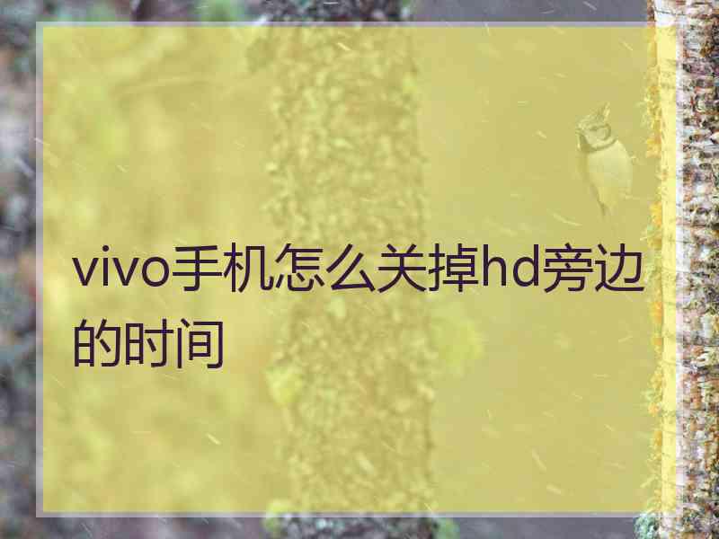 vivo手机怎么关掉hd旁边的时间