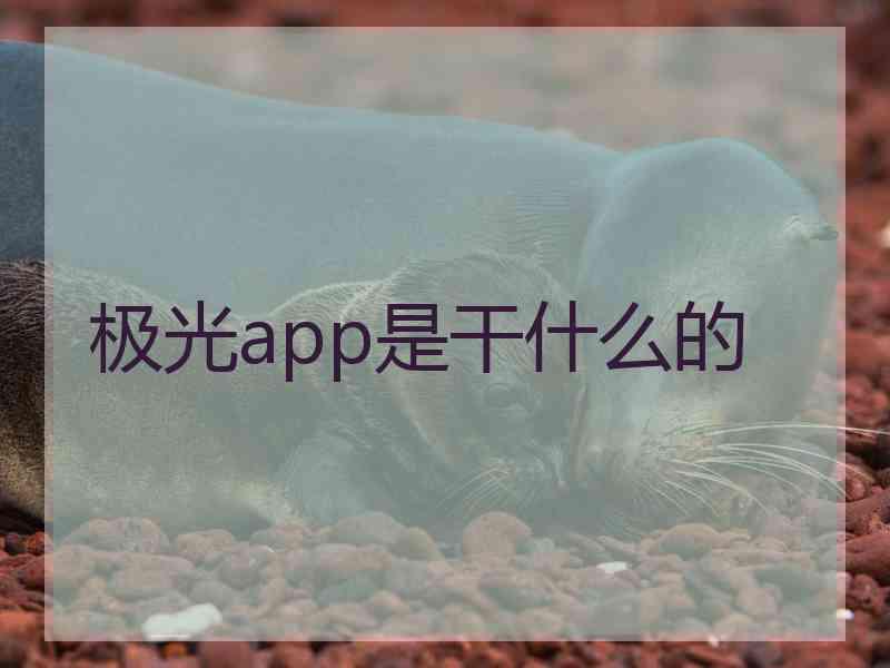 极光app是干什么的