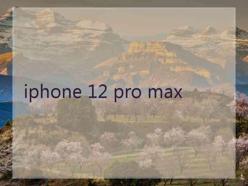 iphone 12 pro max